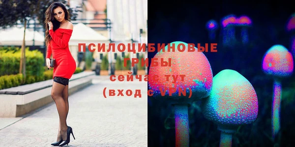 соль курить ск Волосово